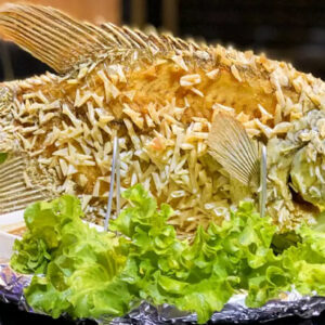 Cá tai tượng Chiên xù