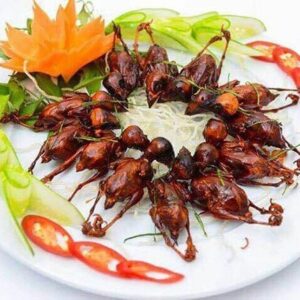 Chim sẻ nướng muối ớt